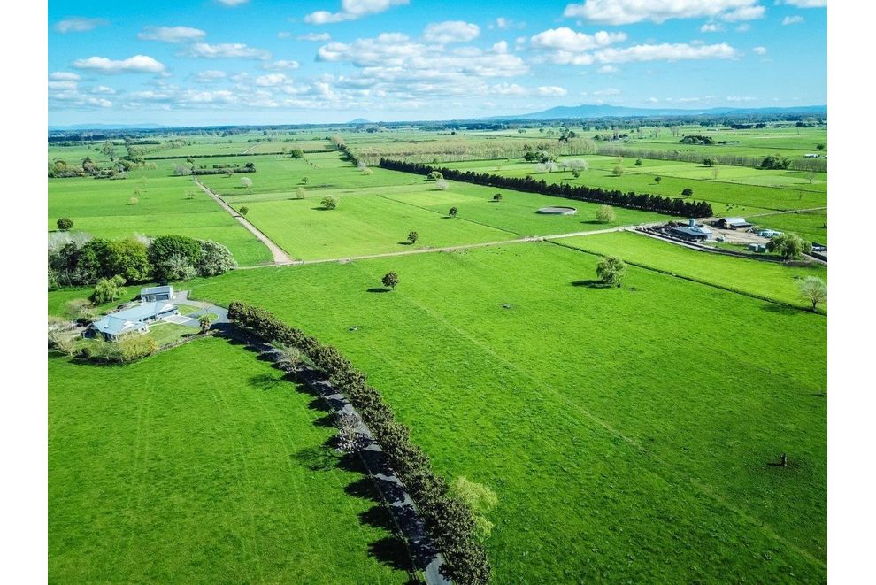 for-sale-100-hectare-dairy-farm-realestate-co-nz