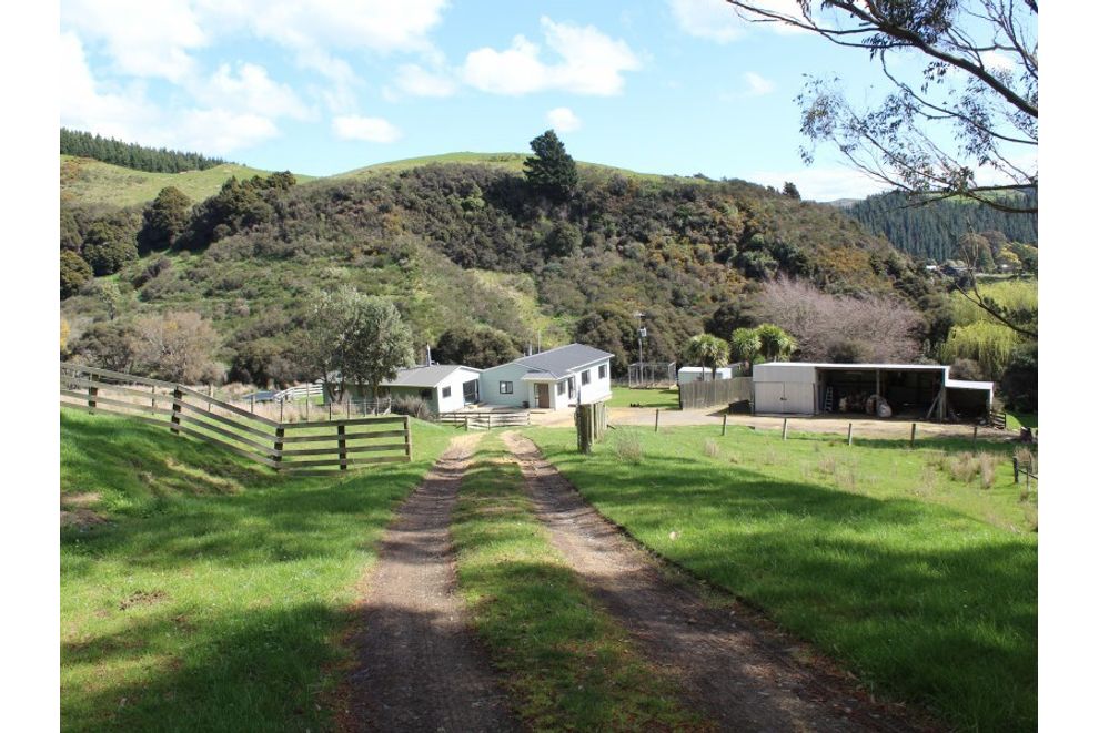 For sale Whenuapai Farm realestate.co.nz