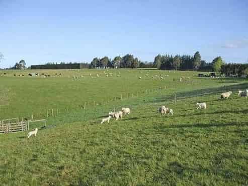 245 Gordons Valley Road, Maungati