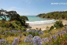10/136 Ocean View Road, Oneroa, Waiheke Island, Auckland