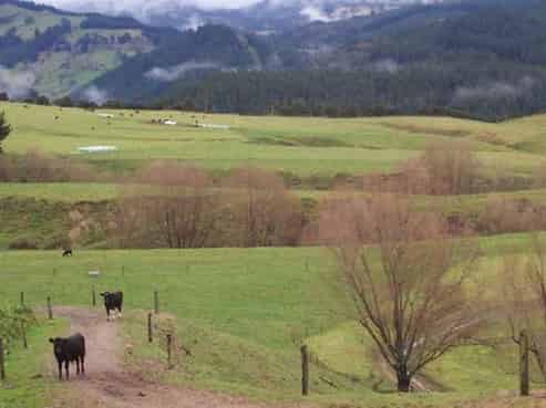 888 Kakariki Farm Road, Kotemaori