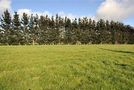 16 Memorys Lane, Springston, Selwyn, Canterbury