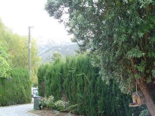 2145 State Highway 1, Oaro