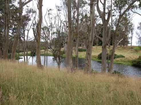 111 Green Island Bush Road, Blackhead