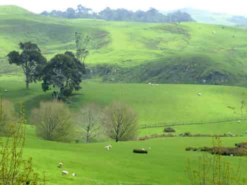 293 Waikaretu Wairamarama Road, Glen Murray