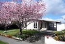 19 Talltree Avenue, Avonhead, Christchurch City, Canterbury
