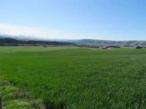 524 Rocky Gully Road, Albury