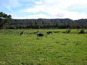 333 Slaty Creek Road, Atarau