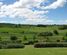 703 Pettit Valley Road, Ongaonga, Central Hawkes Bay, Hawkes Bay