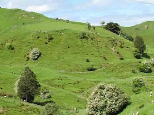 351 Waireka Road, Papaiti