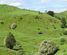 351 Waireka Road, Papaiti, Whanganui, Manawatu / Whanganui