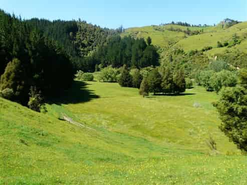 270 Waimahora Road, Maihiihi