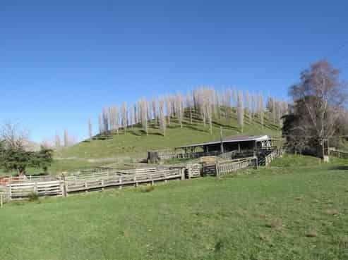 120 Halls Road, Rangiwahia