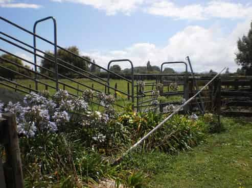 348 Exelby Road, Burbush