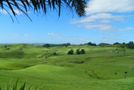 357 Onewhero-tuakau Bridge Road, Onewhero, Franklin, Auckland