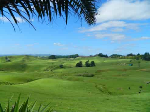 357 Onewhero-tuakau Bridge Road, Onewhero