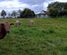 193 Ormsby Road, Pirongia, Waipa, Waikato