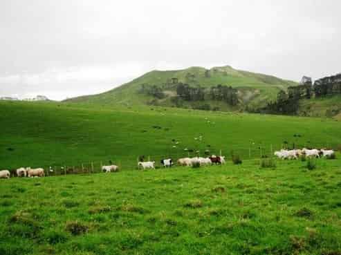 1205 Matauri Bay Road, Matauri Bay