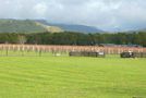 24 Saint Laurent Way, Ohau, Horowhenua, Manawatu / Whanganui