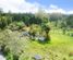 494A Kerikeri Road, Kerikeri, Far North, Northland
