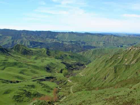 110 Burrell Road, Kakatahi