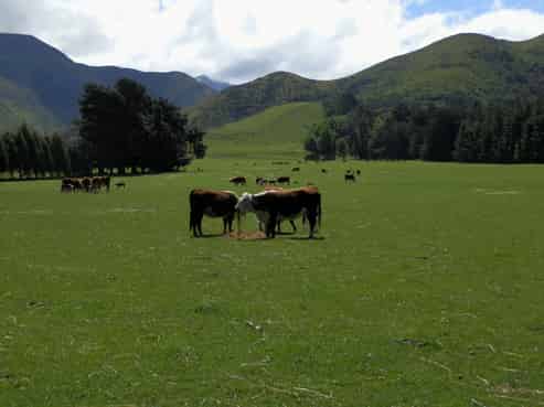 2790 Inland Kaikoura Road, Stag And Spey