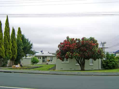 60 Kaka Street, Morningside
