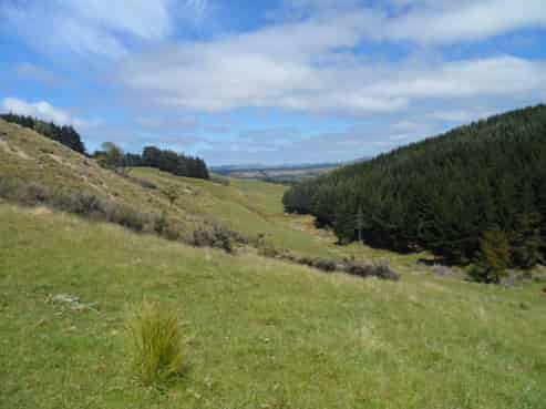 712P Cathedral Road, Domett