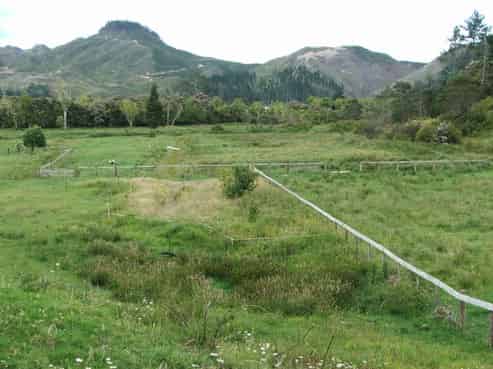 251 Hikuai Settlement Road, Hikuai