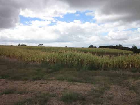 89 Coxhead Road, Mangatarata