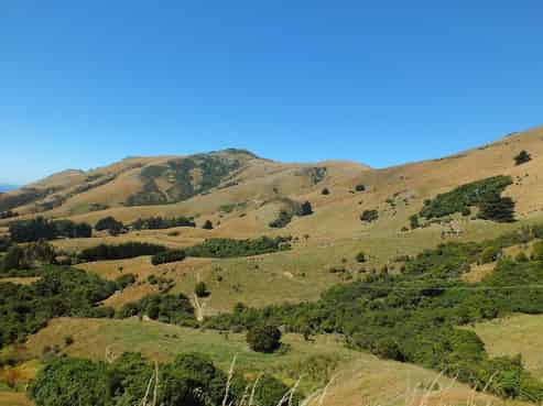 254 Little Akaloa Road, Little Akaloa