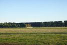 41 Amors Road, Sefton, Waimakariri, Canterbury