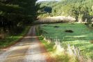 2092D Akatarawa Road, Akatarawa, Upper Hutt City, Wellington