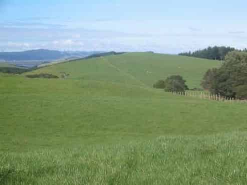 979 Run Road, Tapora