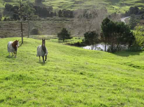 336 Wharehine Road, Tauhoa