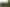 85B Koutu Road, Koutu