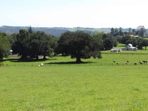184 Showground Road, Waimate North
