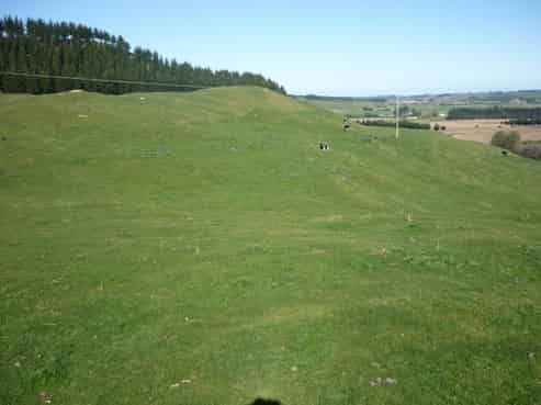 728 Waimutu Road, Turakina