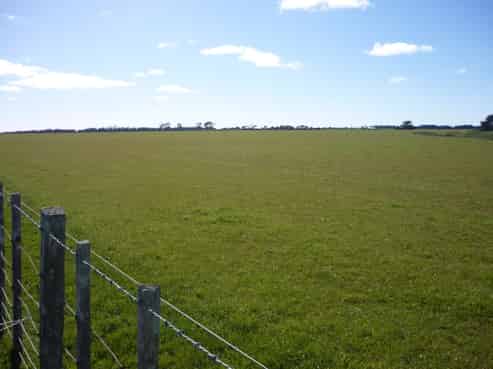 459 Waimutu Road, Turakina