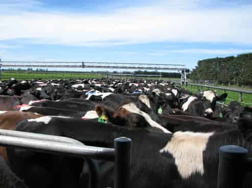 196 Trig Pole Road, Eiffelton