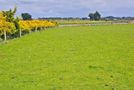 268 Roslyn Road, Roslyn Bush, Invercargill City, Southland