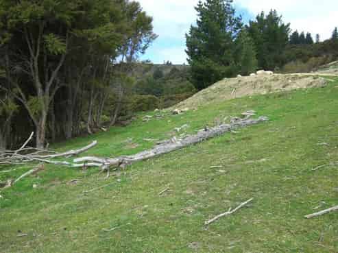 721 Blueskin Road, Mount Cargill