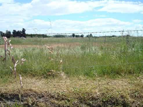 439 Kainga Road, Brooklands