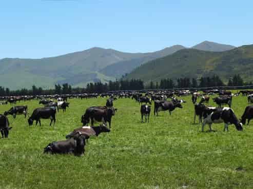 865 Balmoral Station Road, Culverden