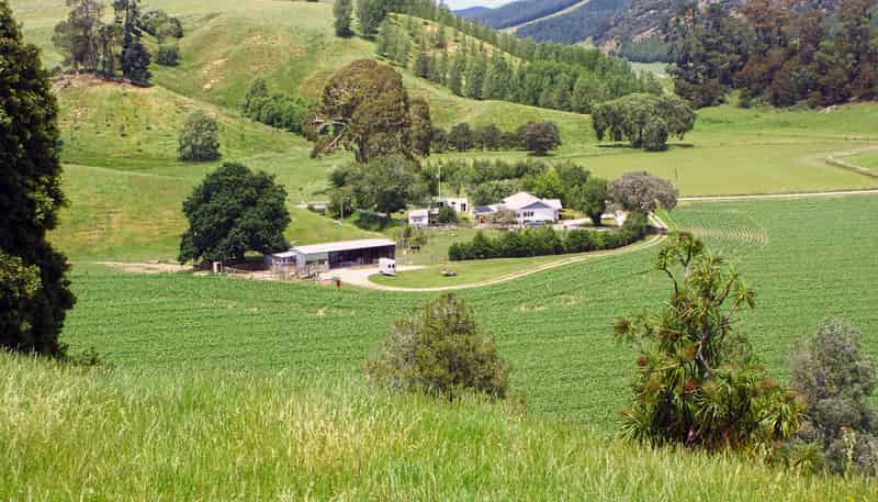 Property