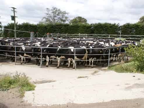 858 Waipahi Highway, Pukerau