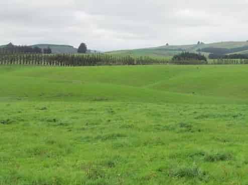 113 Moncurs Road, West Otago Surrounds