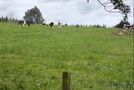 52 Walter Henry Drive, Kaimai, Western Bay Of Plenty, Bay of Plenty