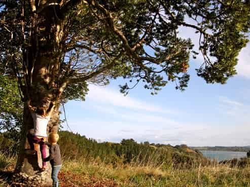 306 Leigh Road, Whangateau