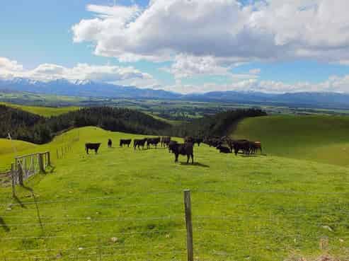 1173 Malvern Hills Road, Sheffield